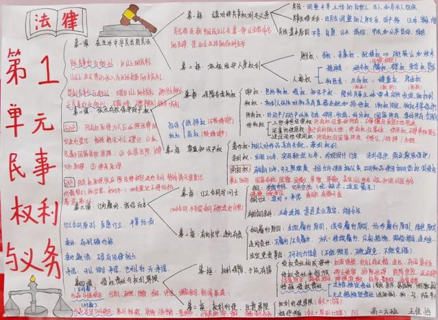 “政青春·值得期待” | 政治学科素养手抄报活动作品展示