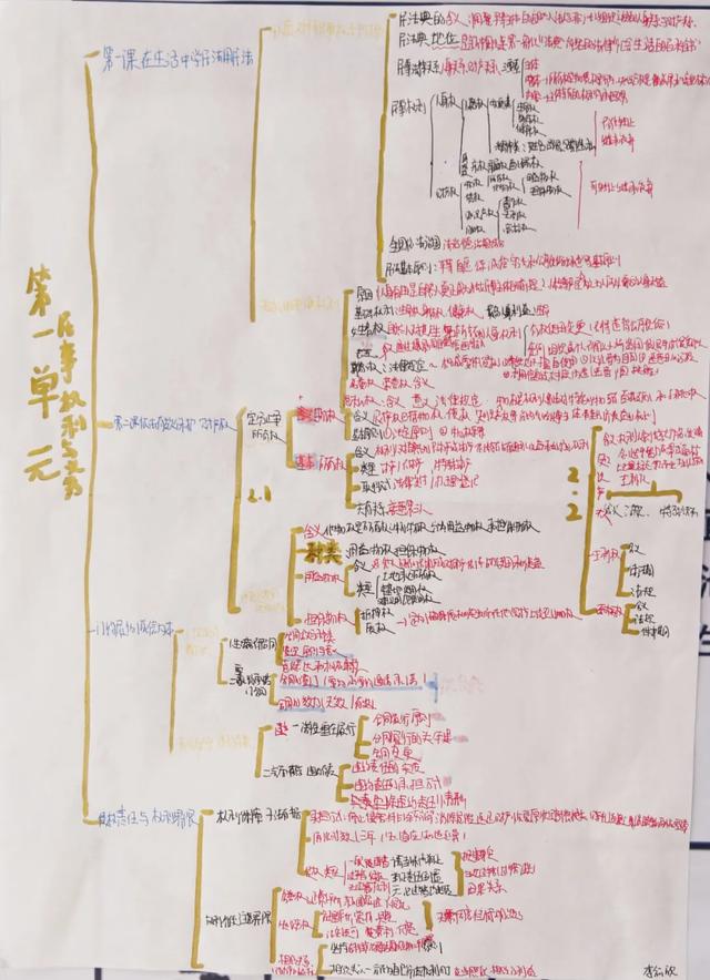“政青春·值得期待” | 政治学科素养手抄报活动作品展示